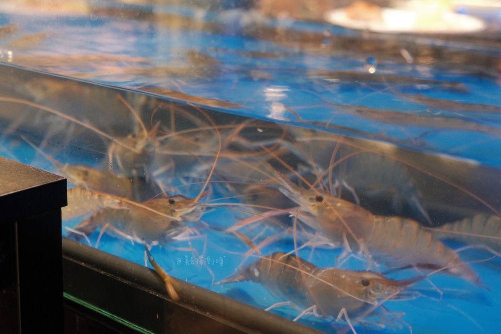 台中八吃蝦泰國蝦吃到飽活蝦