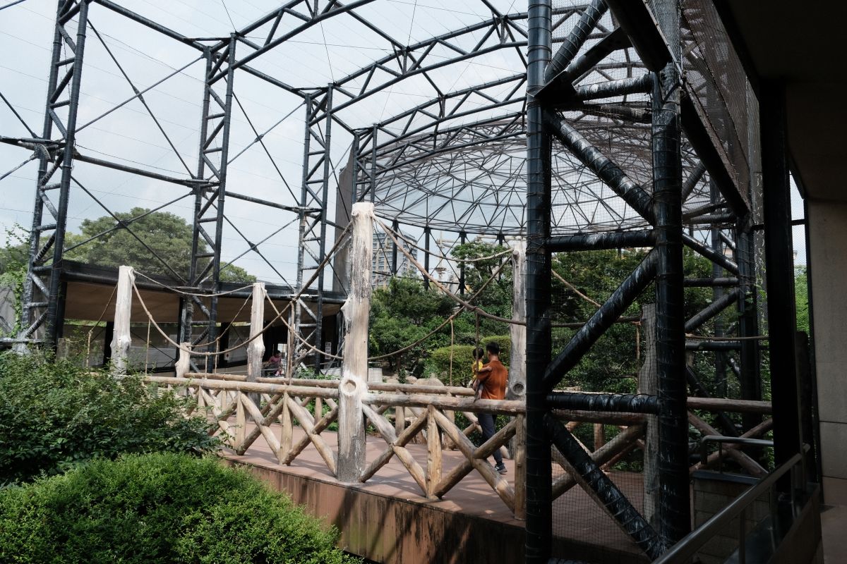 天王寺動物園|大阪親子遊推薦,不同視角看企鵝、海獅 - 第19張圖
