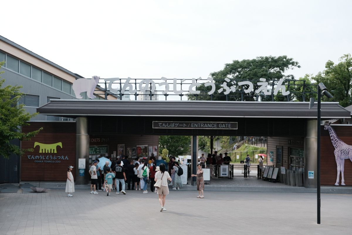 天王寺動物園|大阪親子遊推薦,不同視角看企鵝、海獅 - 第2張圖