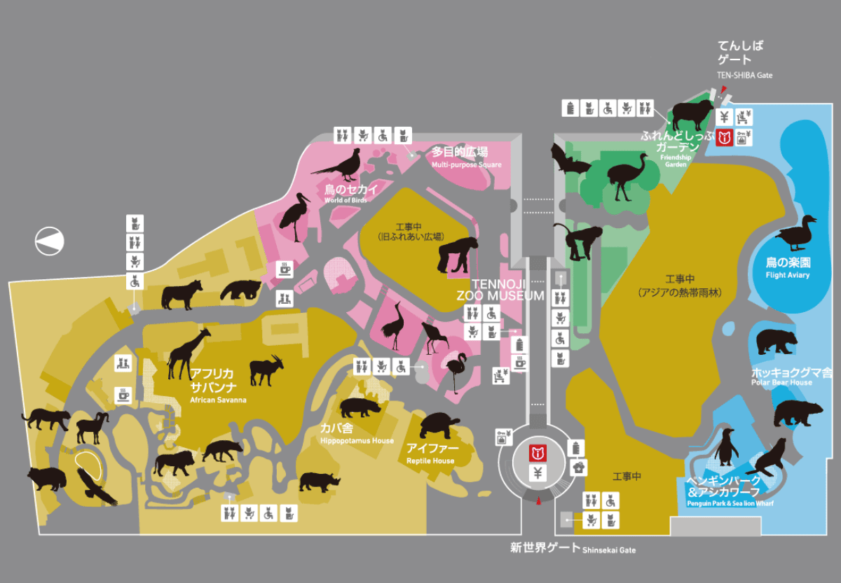 天王寺動物園|大阪親子遊推薦,不同視角看企鵝、海獅 - 第4張圖