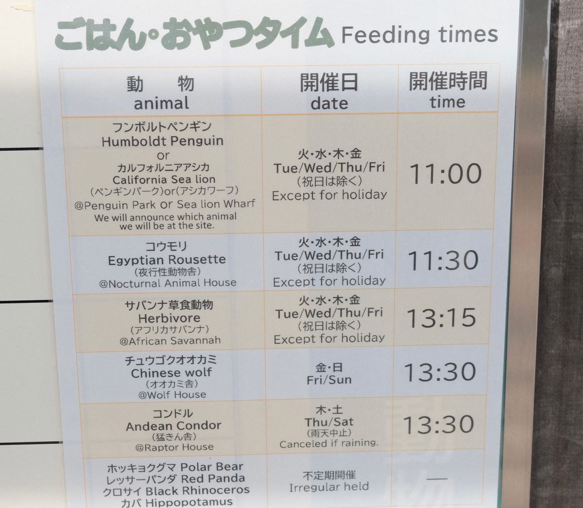 天王寺動物園|大阪親子遊推薦,不同視角看企鵝、海獅 - 第5張圖