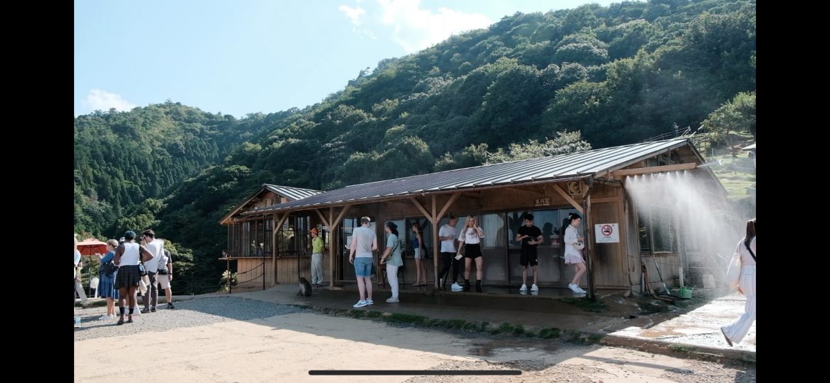 嵐山猴子公園|可以眺望京都市景山景、和放養猴子互動的景點 - 第14張圖