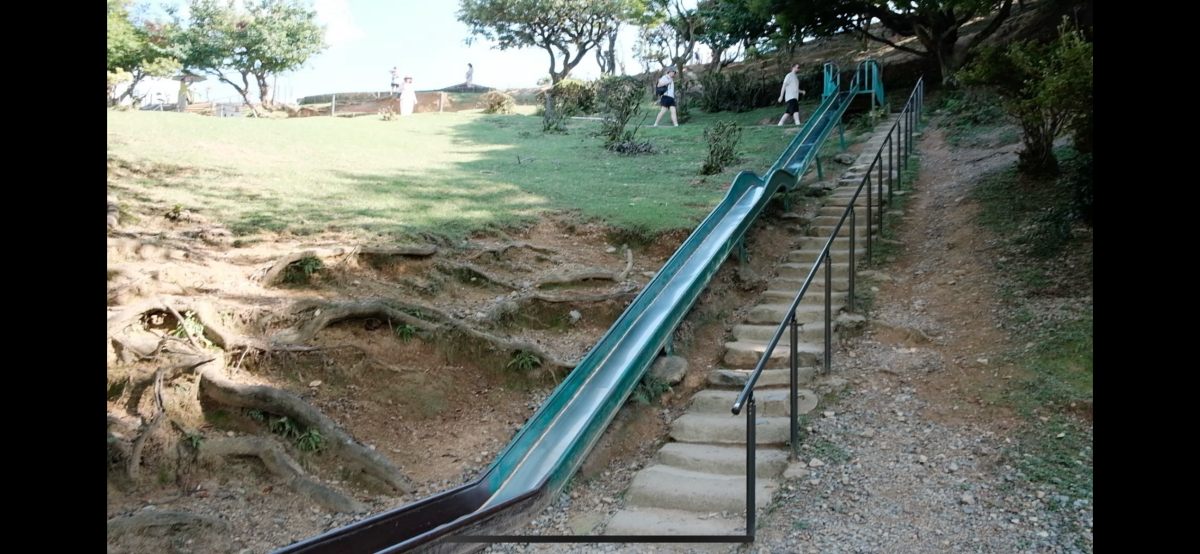 嵐山猴子公園|可以眺望京都市景山景、和放養猴子互動的景點 - 第6張圖