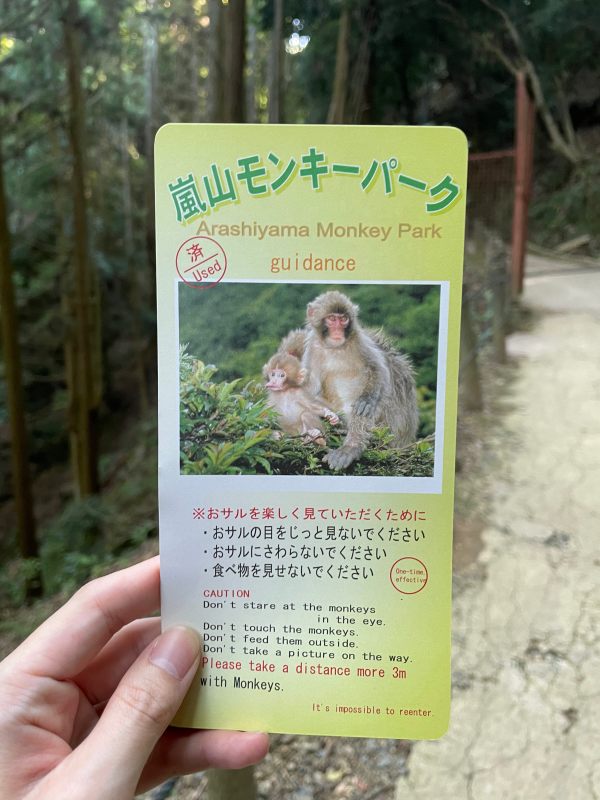 嵐山猴子公園|可以眺望京都市景山景、和放養猴子互動的景點 - 第1張圖