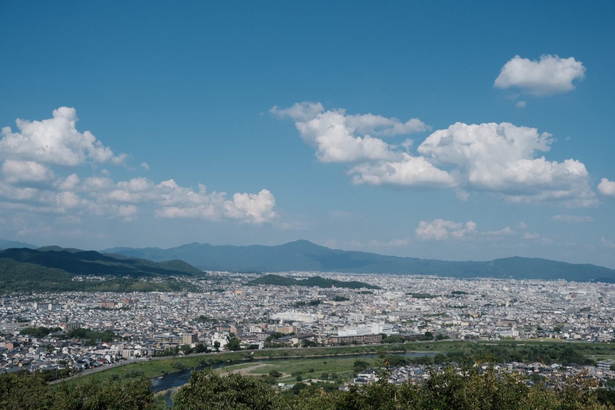 嵐山猴子公園|可以眺望京都市景山景、和放養猴子互動的景點 - 第10張圖