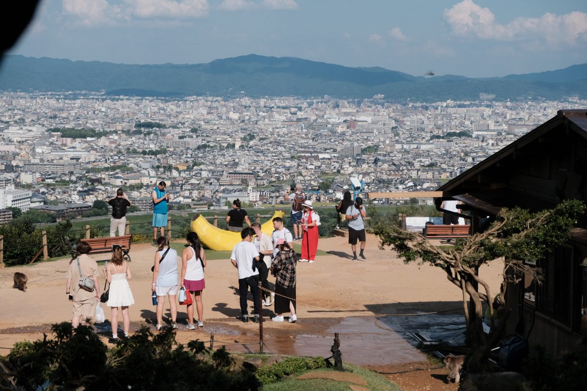 嵐山猴子公園|可以眺望京都市景山景、和放養猴子互動的景點 - 第9張圖